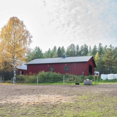 Rött hässtall